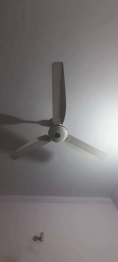 Best quality Fan for Sale