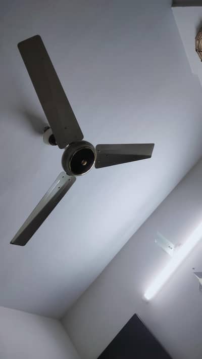 Ceiling Fan