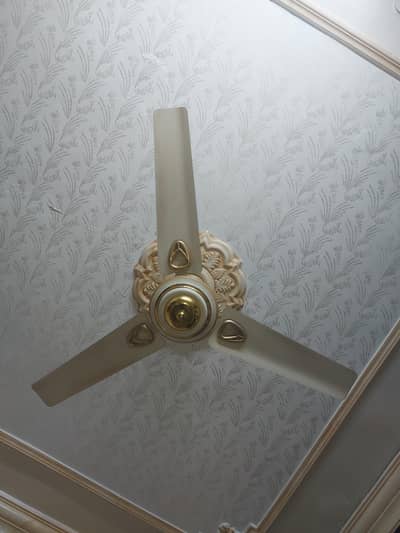 Royal ceiling fan