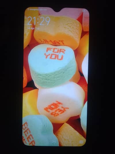 Vivo Y17 Best Condition Phone