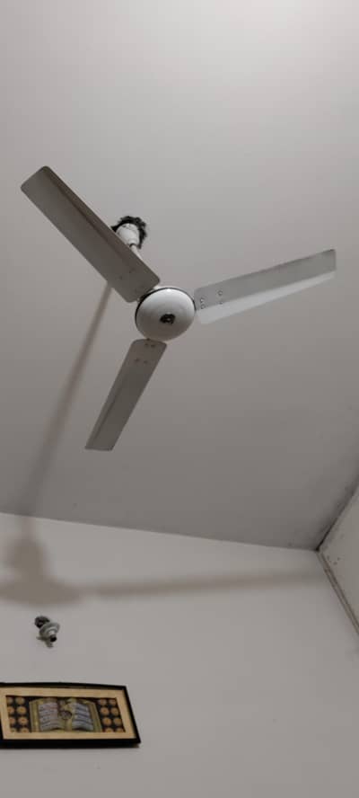 Royal Fane Life time guaranty