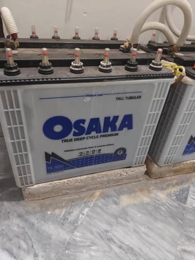 OSAKA Tall Tubular Batteries for Sale