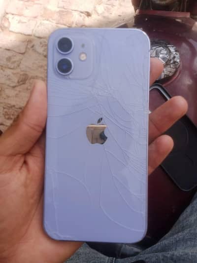Iphone 12jv  purple colour