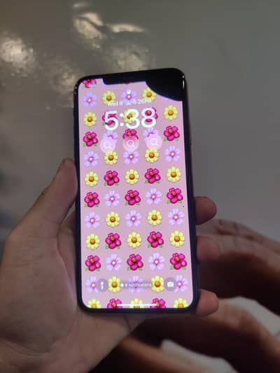 I phone 11 pro max panal