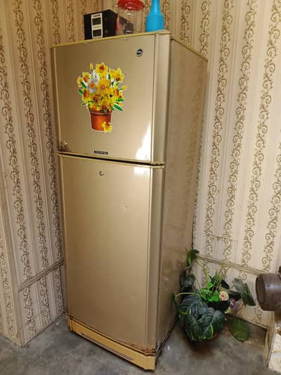 PEL full size Good conditions