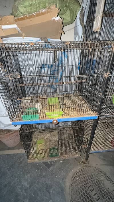 Cage for sale with boxes and everything