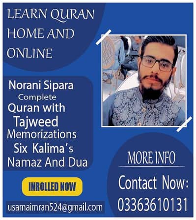 i am a professional Quran teacher