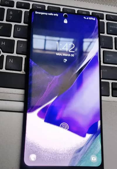 Samsung note 20 ultra only  penal Chang