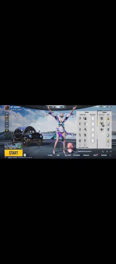 PUBG ACC FOR SALE