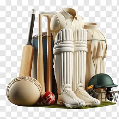 Sports 