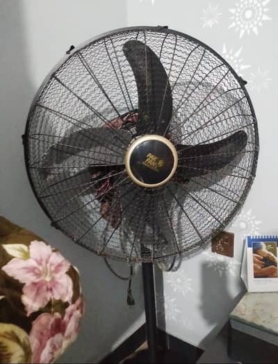 pak fan 220 ac fan