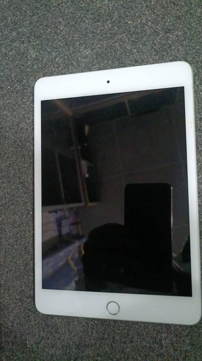 Ipad mini 5 0