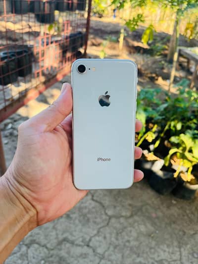 iphone 8 128GB full box Whatsapp number 03071462214