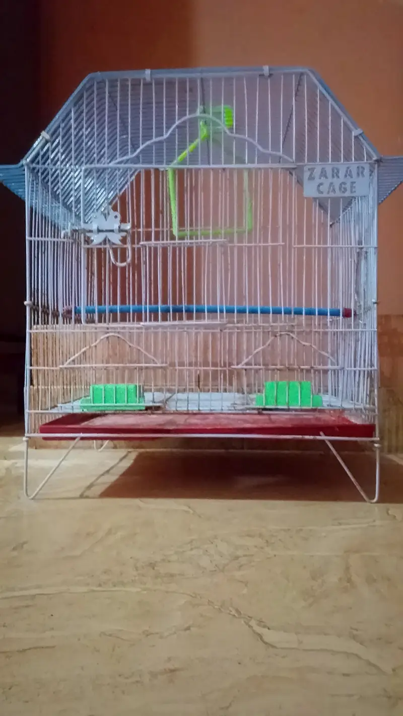 Cage for sale