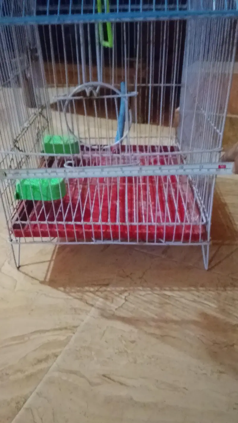 Cage for sale — photo 3
