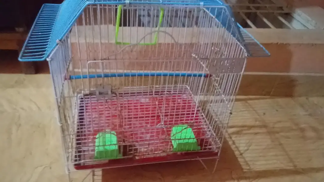 Cage for sale — photo 4