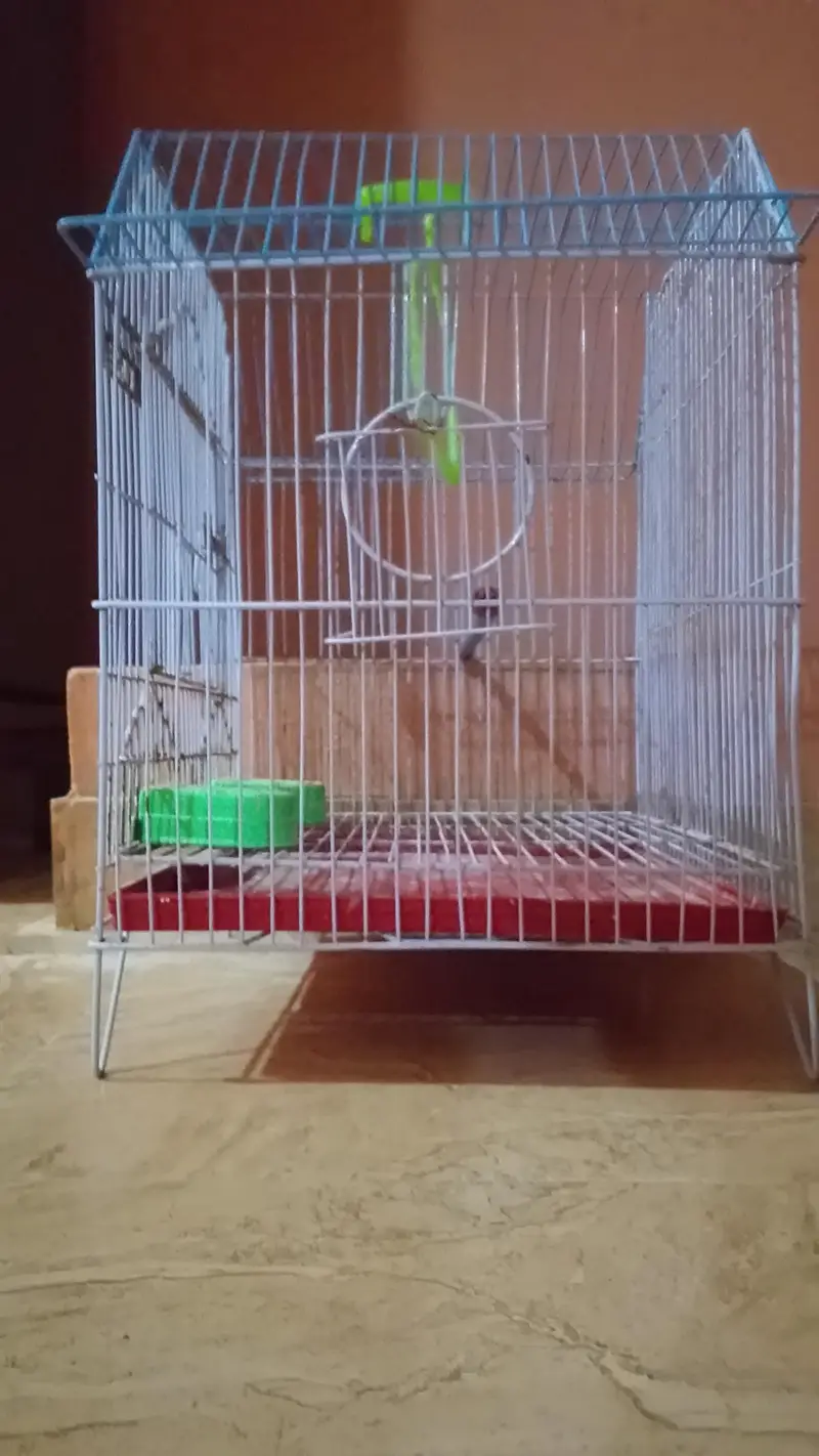 Cage for sale — photo 5