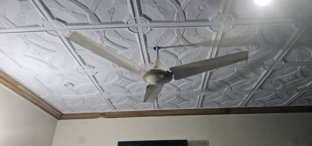 2024 Model Fan for Sale Brand New Condition. 0323.7533840