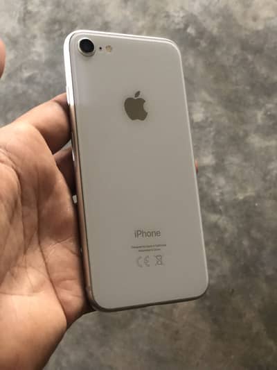 iPhone 8 total original