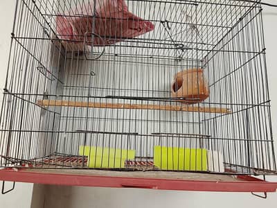 love birds cage for sale ha 1-5 by 2 ka cage
