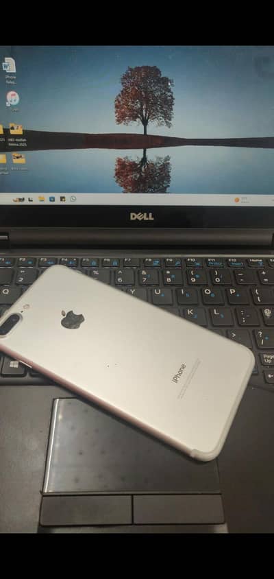 Iphone 7 plus (bypass)