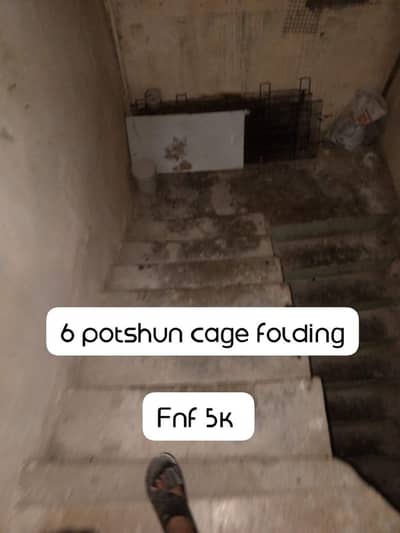 6 portion cage forsele