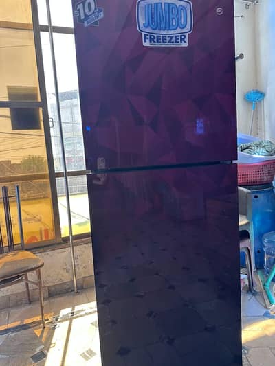 Pel Freezer Only One Year Used