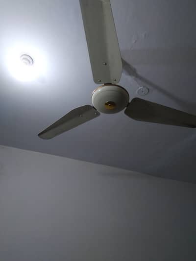 lahore fan hai 2 fan hai dono new condition fan hai call 03134498071