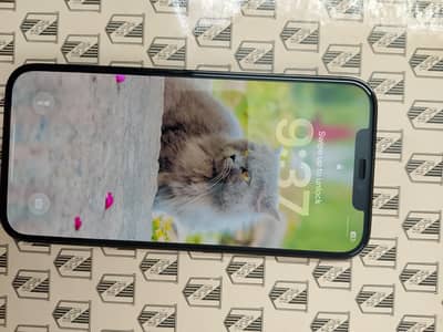 i phone 12 pro max urjent sale