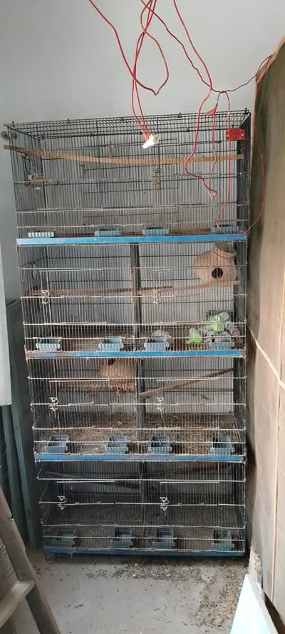 Used 8 portion cage and new phatki for sale