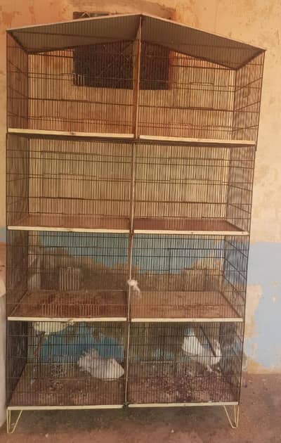 1 box dade bay bad ka. total  8 box