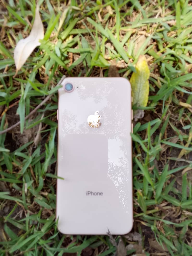 Apple iPhone 8 0
