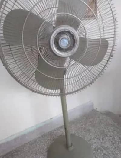 deluxe 24 pak fan large size fan