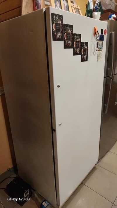 DEEP FREEZER NO FROST