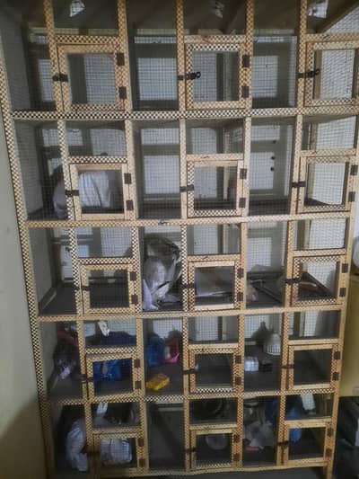 0328-8186484 lakri wala pingra