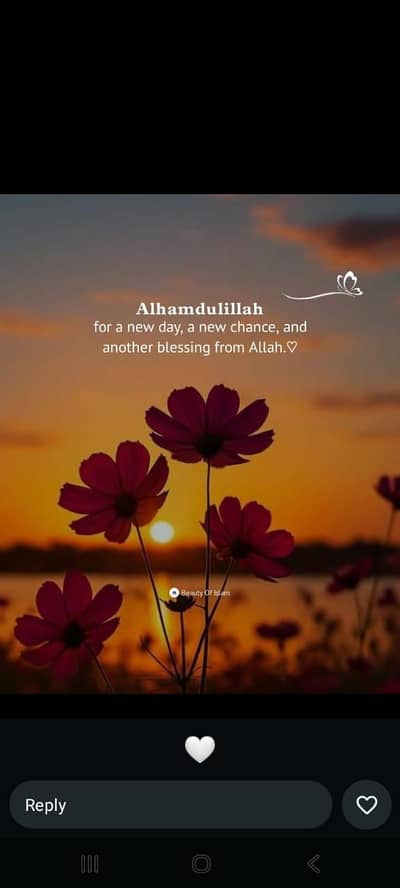 online tutor available