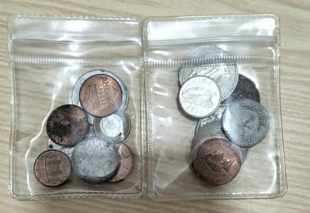 Old Coins Pack (10 Different Coins) | Collectible Lot
