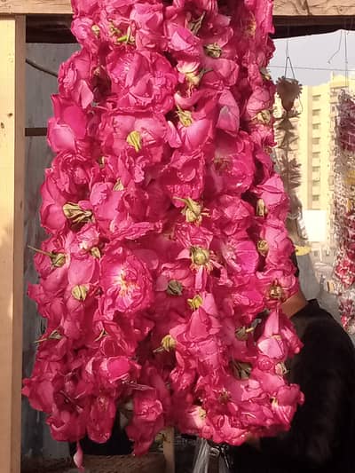 mujhe kam ki tlash he 7 month se farg hun office boy job ki tlash he