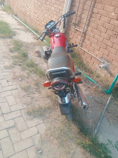honda c125 2024
