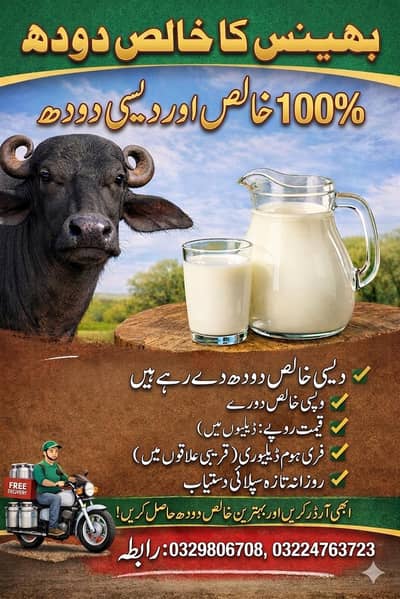 بھینس کا خالص دودھ – 300 روپے فی لیٹر