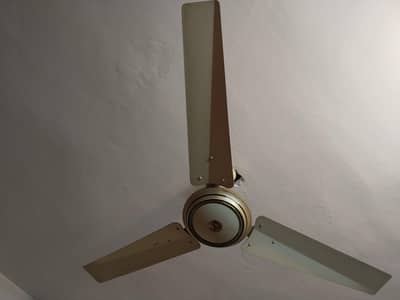 ceiling Fan for sale