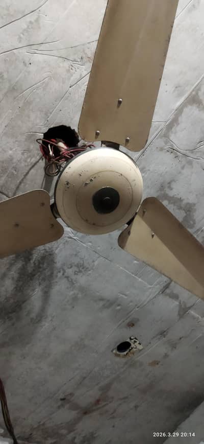 Ceiling fan for sale
