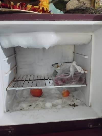 frig for sale 2 door small side