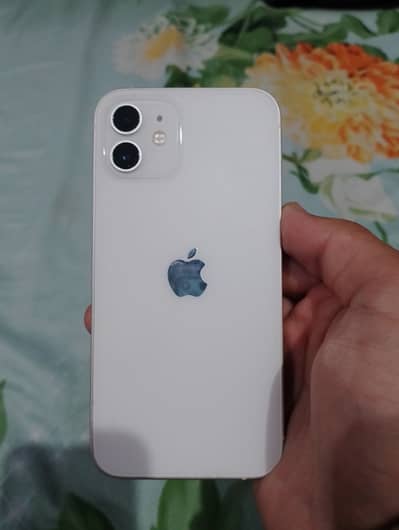 iPhone12 jv