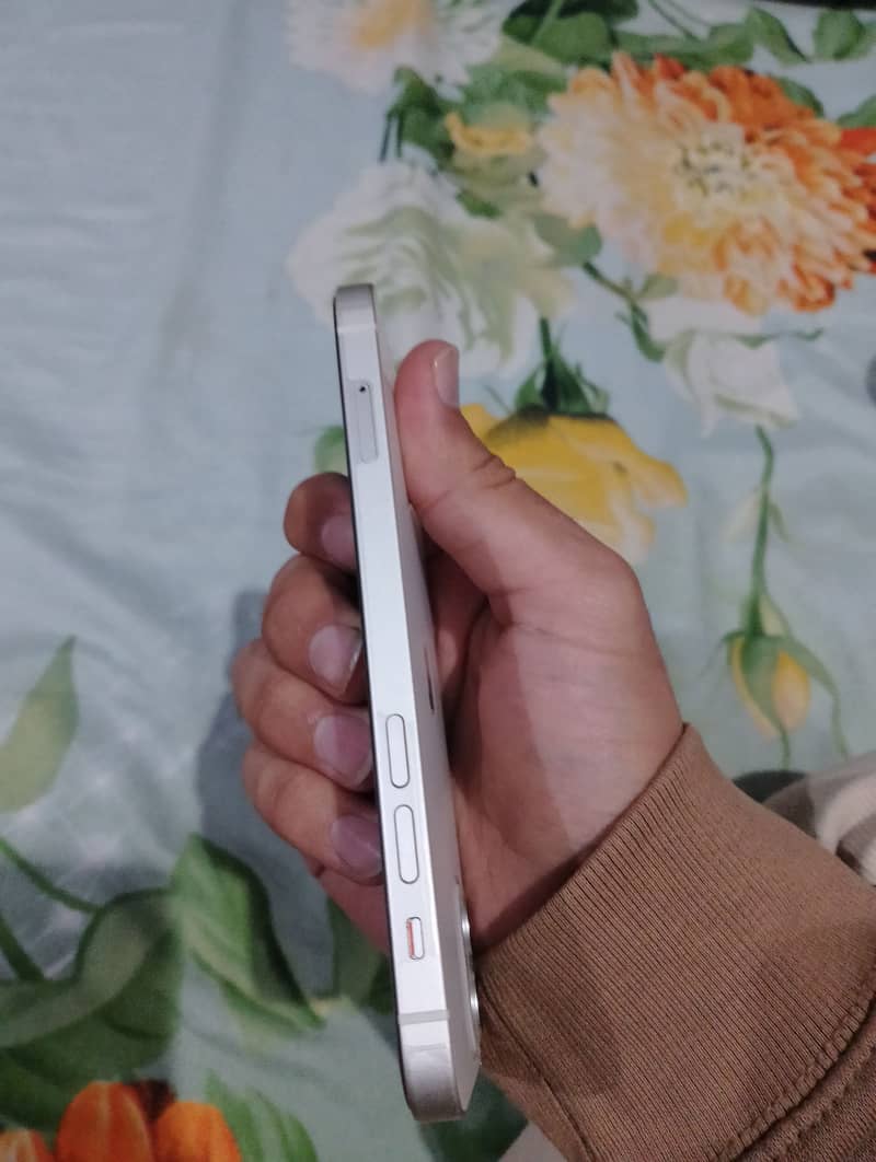 iPhone12 jv 5