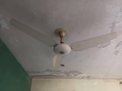 ceilling fan 56" copper