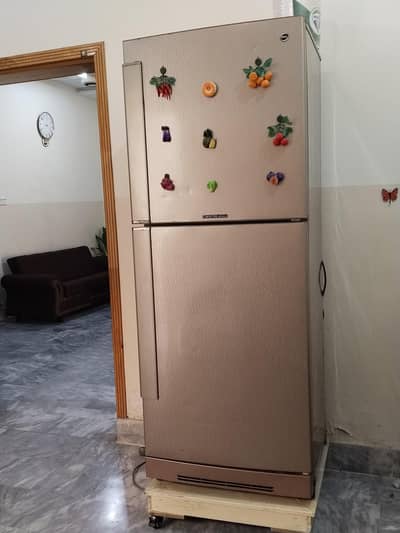 PEL Refrigerator PRA 160