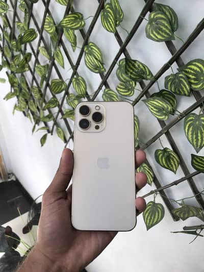 13 pro max 256gb factory unlock non pta