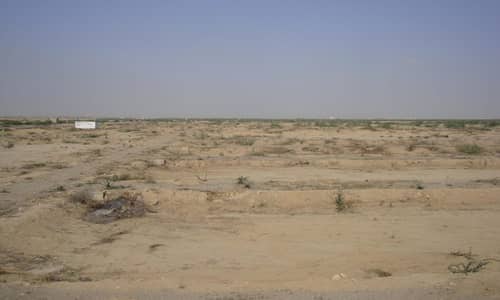 30 Sector 120 Square Yads Plot for Sale in Taiser Town