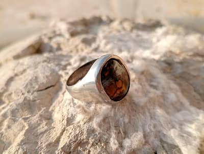 Tiger Stone Ring